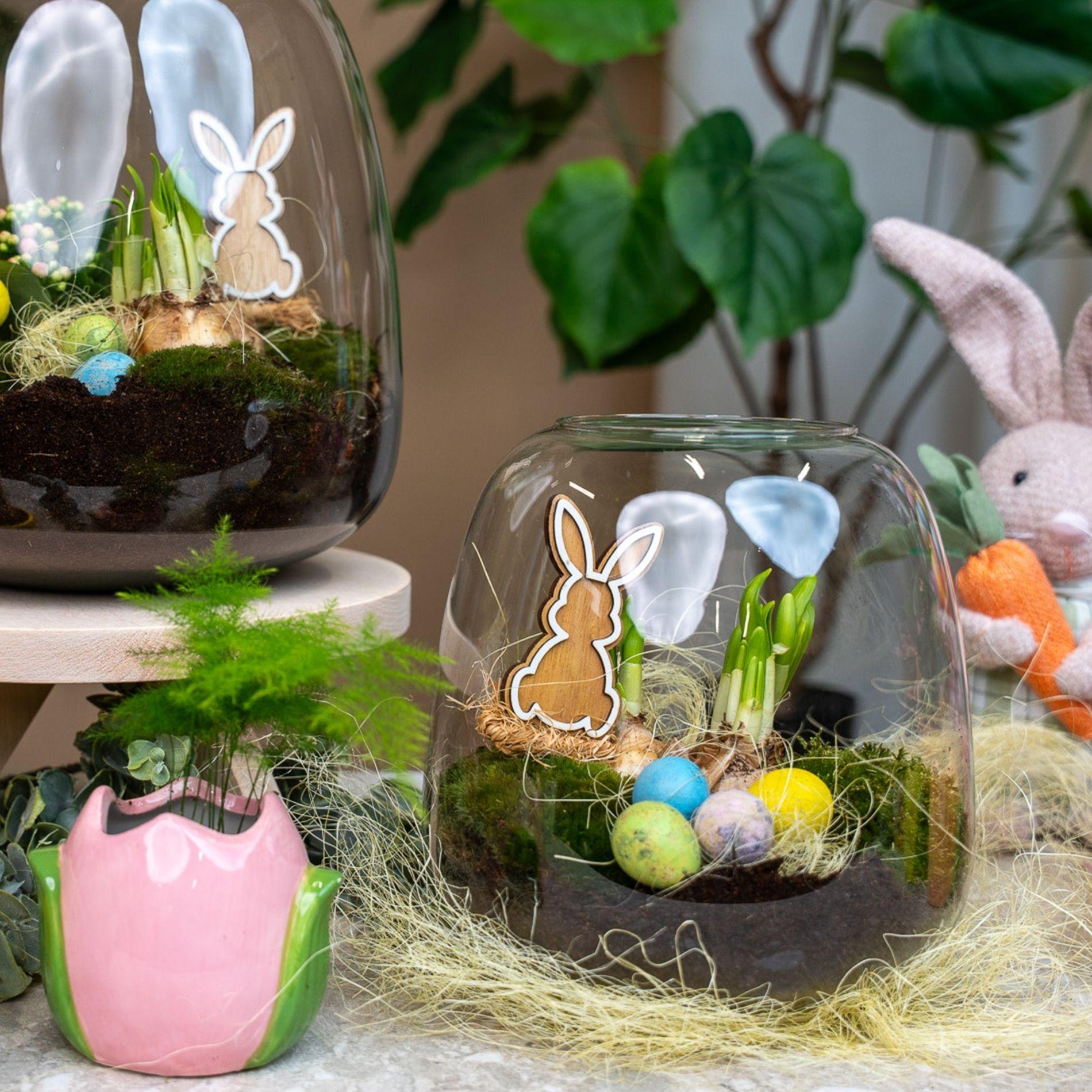 Emma Oster Flaschengarten DIY Kit – offenes Terrarium Ø23cm Höhe 25cm – Mini Garten im Glas mit Narzisse Tête-à-Tête & Kalanchoe – inkl Moos Erde Hydrokugeln Aktivkohle & Osterdeko